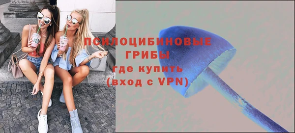 винт Новодвинск