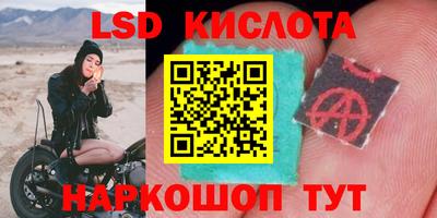 Альфа ПВП Заводоуковск