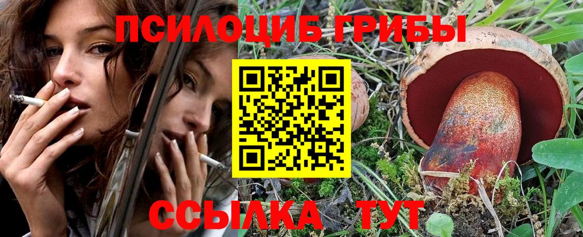 Галлюциногенные грибы мухоморы  Вход с VPN  Тулун 