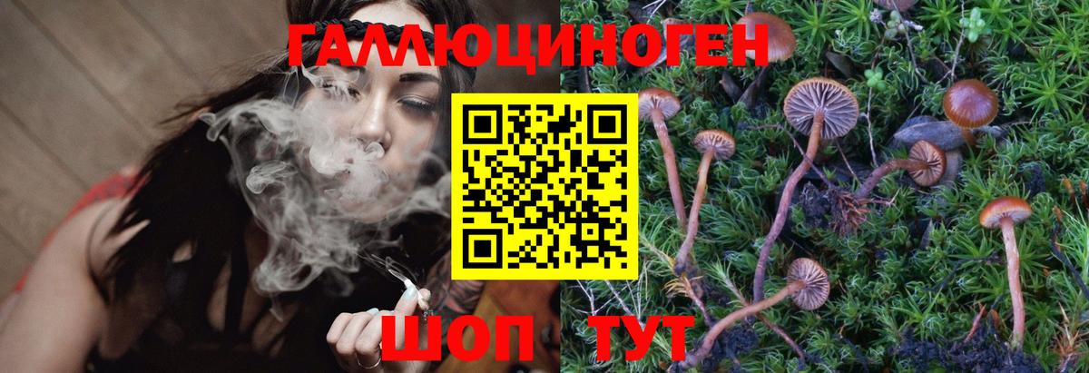 Галлюциногенные грибы Psilocybine cubensis Тулун